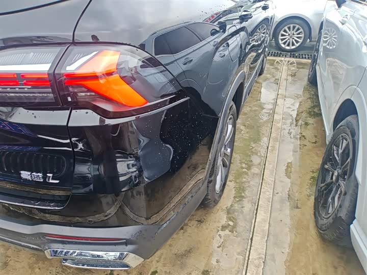Geely Okavango L 2024 2024款 2.0T DCT尊贵型