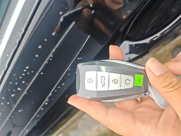 Geely Okavango L 2024 2024款 2.0T DCT尊贵型