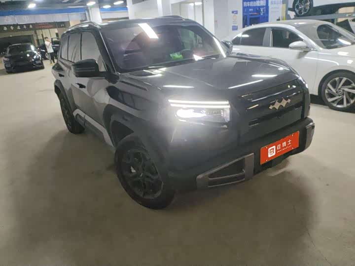 BYD FangChengBao Titanium 3 (Tai 3) 2025 2025款 501KM 后驱Max版