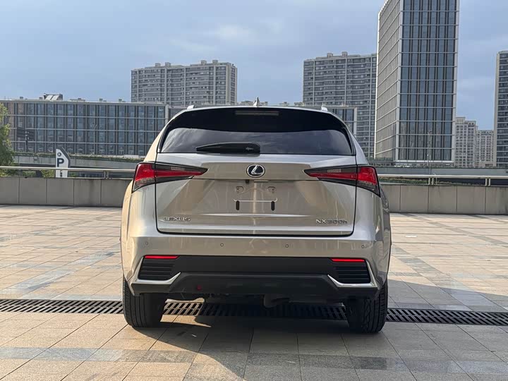 Фото 6 - Lexus NX