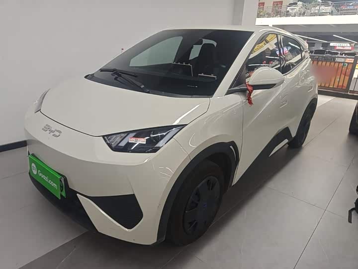 Zdjęcie 1 - BYD Seagull