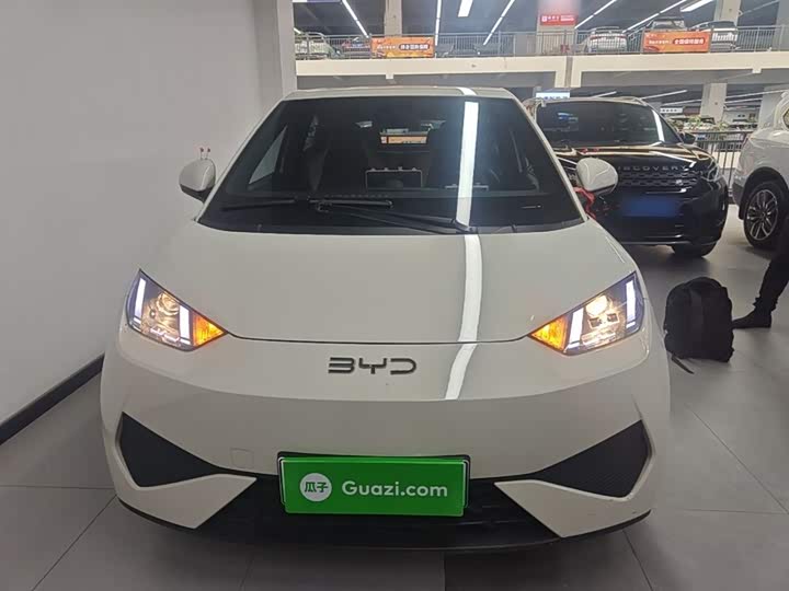 Zdjęcie 3 - BYD Seagull