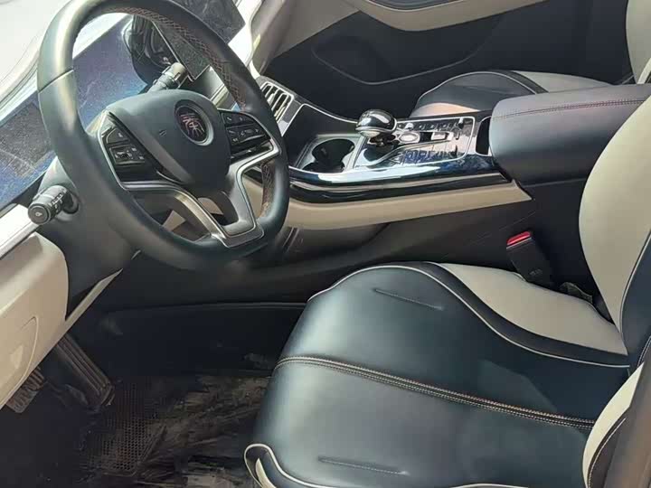 BYD Qin Plus 2021 2021款 EV 500KM 豪华型