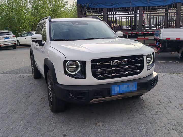 Фото 2 - Haval Dargo