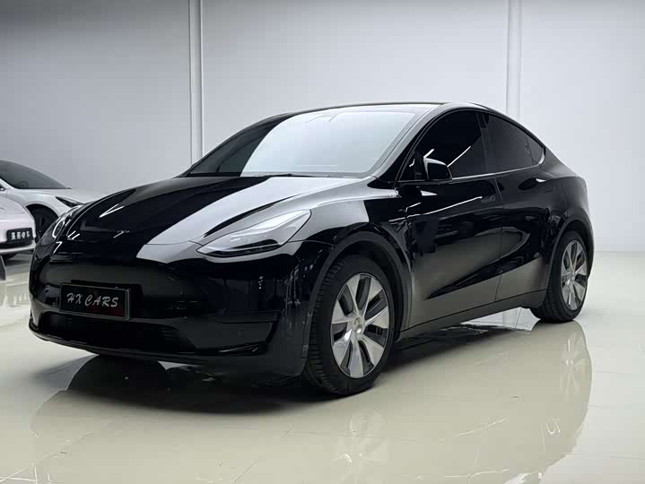 Tesla Model Y 2022 2022款 后轮驱动版