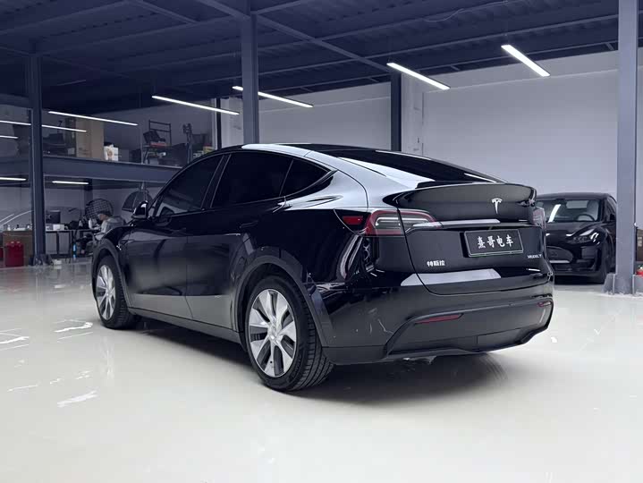 Tesla Model Y 2022 2022款 后轮驱动版
