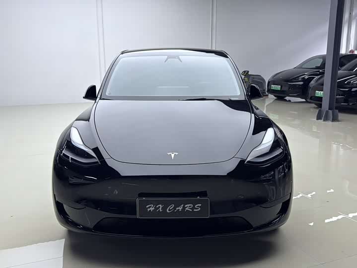 Tesla Model Y 2022 2022款 后轮驱动版