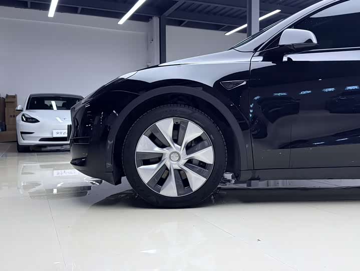 Tesla Model Y 2022 2022款 后轮驱动版