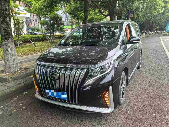 Zdjęcie 1 - GAC Trumpchi M8