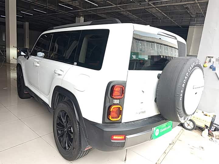 Фото 5 - Haval Raptor Hybrid