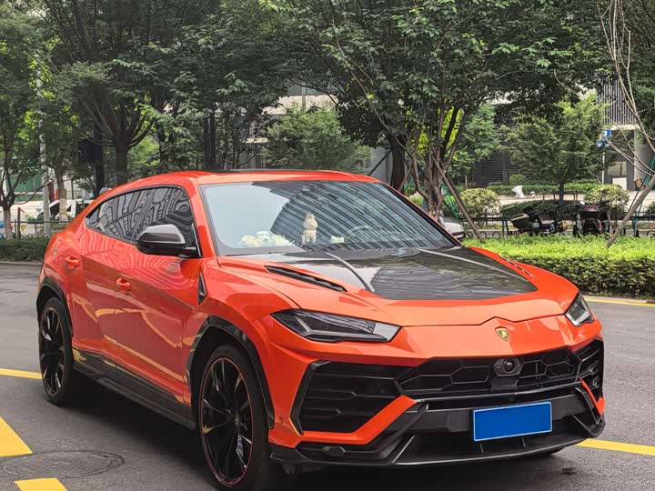 Lamborghini Urus 2021 2021款 4.0T V8