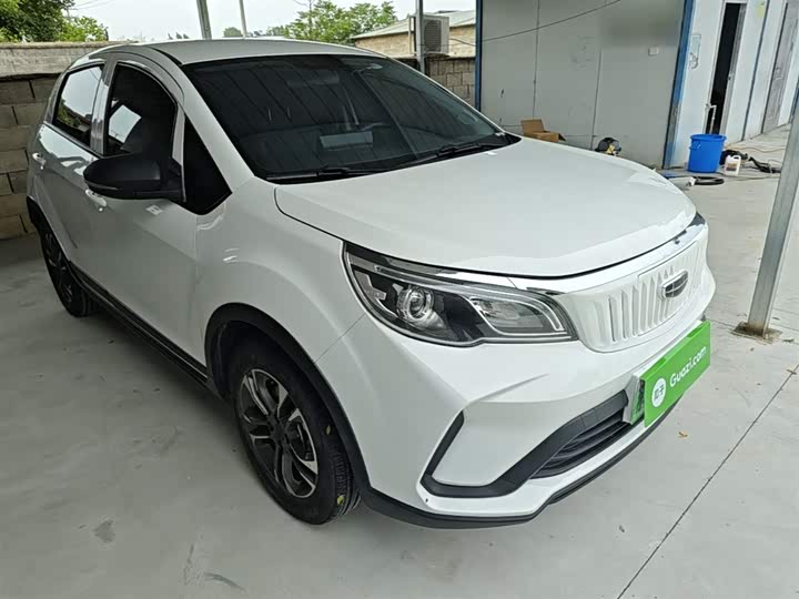 Geely Geometry EX3 2021 2021款 坚强牛牛