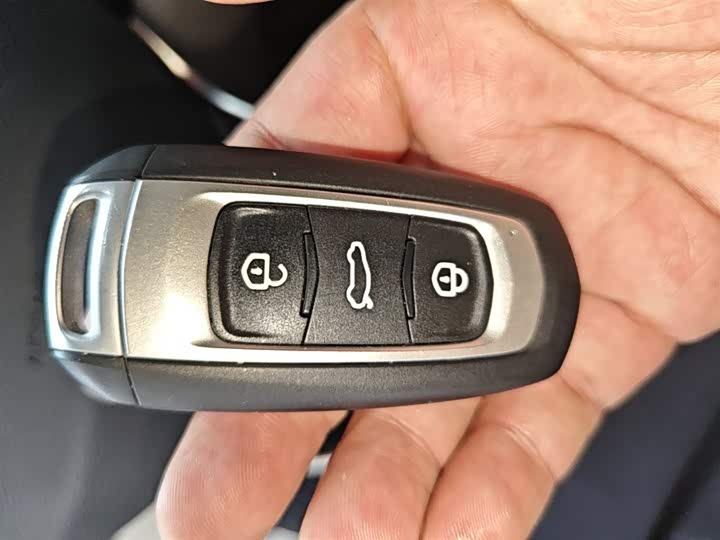 Geely Geometry EX3 2021 2021款 坚强牛牛