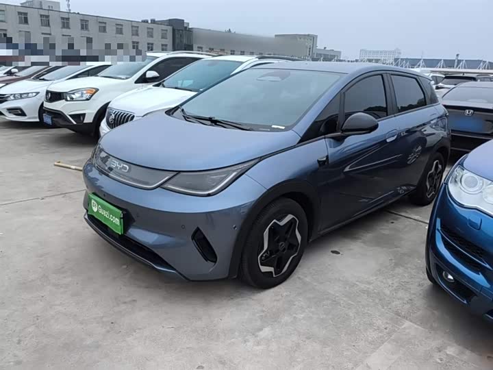 2025 BYD Dolphin