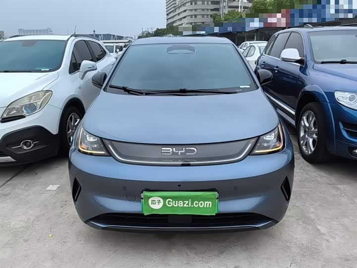 2025 BYD Dolphin