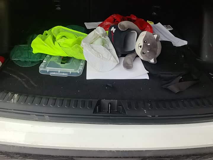 Photo 4 - Geely Atlas