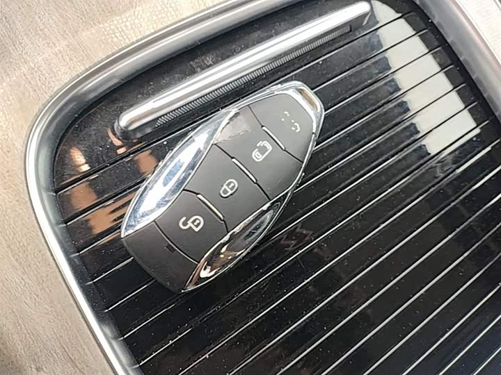Hongqi HQ9 Hybrid 2024 2024款 2.0T 四驱商务版