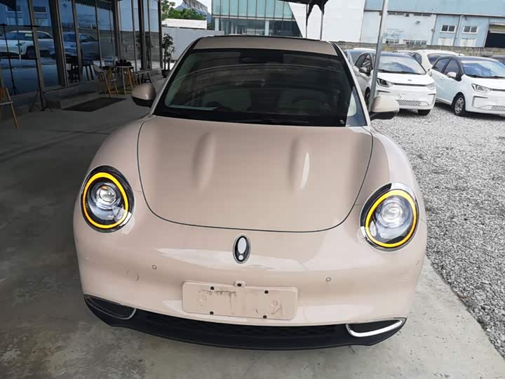2024 Ora Good Cat GT (03 GT)