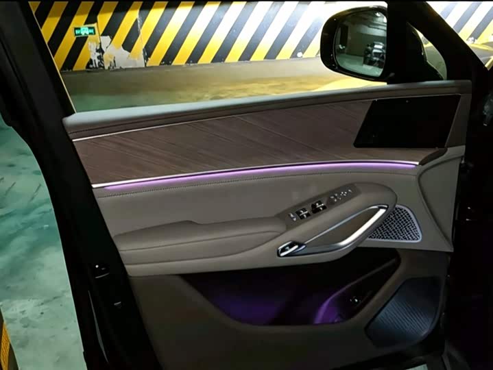 Denza N9 2025 2025款 尊荣型