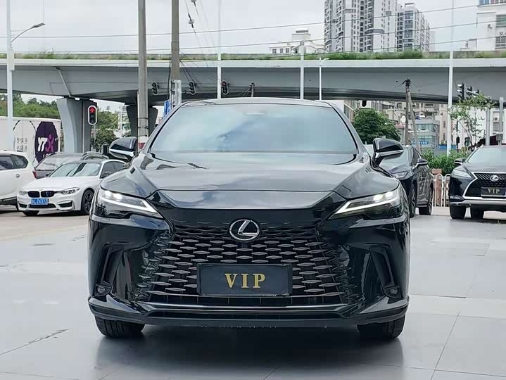 Lexus RX 2023 2023款 350h 两驱悦享版