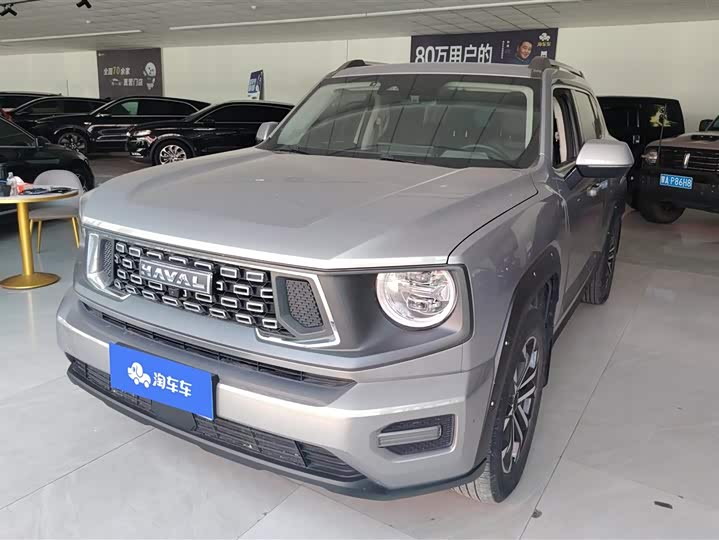 Zdjęcie 1 - Haval H-Dog