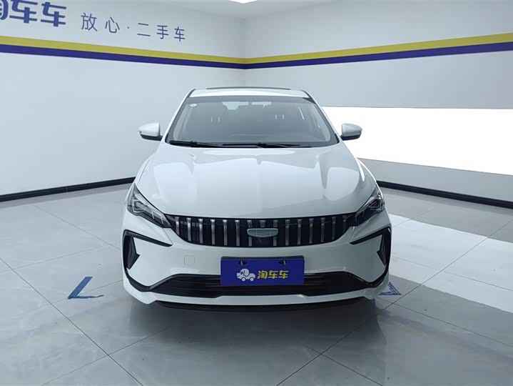 2024 Geely Binrui