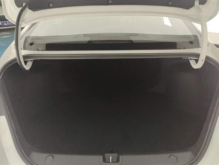 2024 Geely Binrui