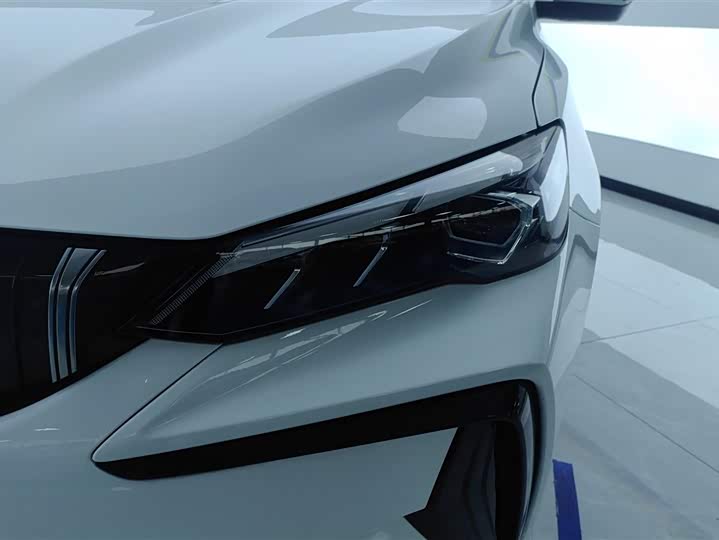 2024 Geely Binrui