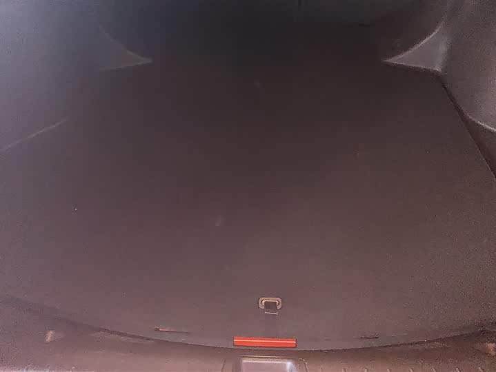 2024 Geely Binrui