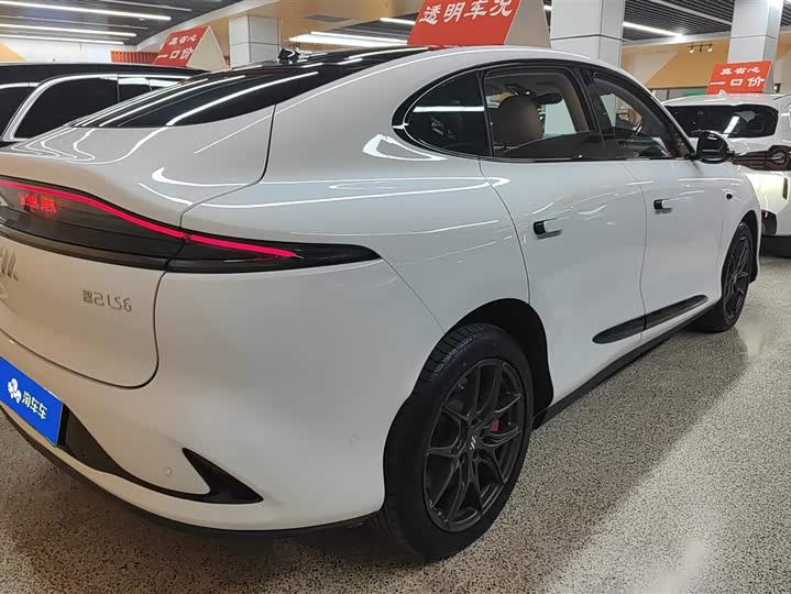 Фото 3 - IM motors LS6