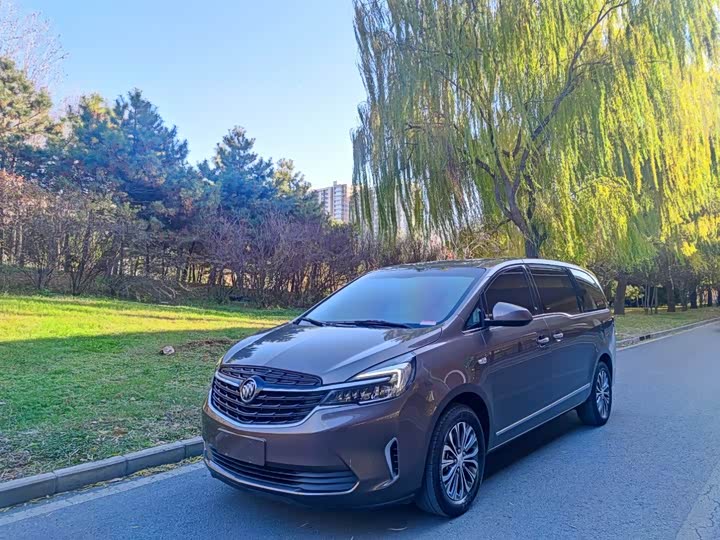 Buick GL8 ES 2020 2020款 陆上公务舱 652T 豪华型