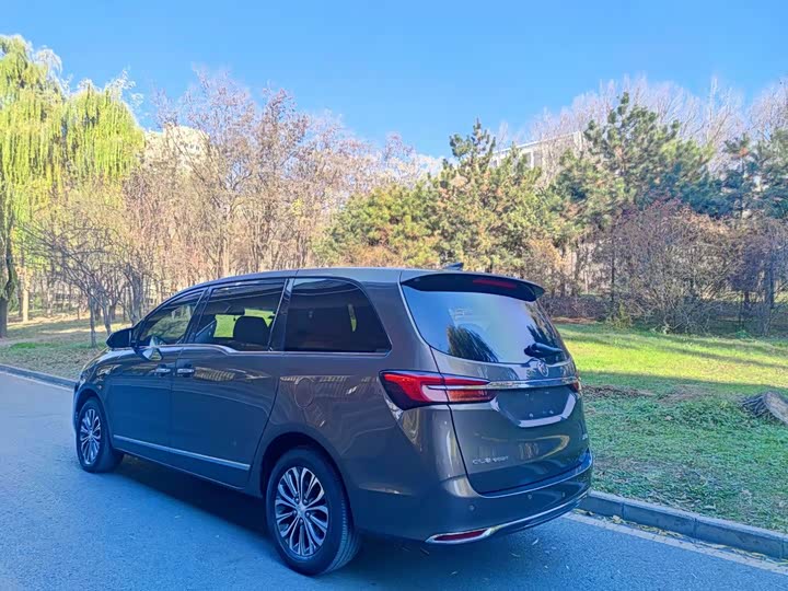 Buick GL8 ES 2020 2020款 陆上公务舱 652T 豪华型
