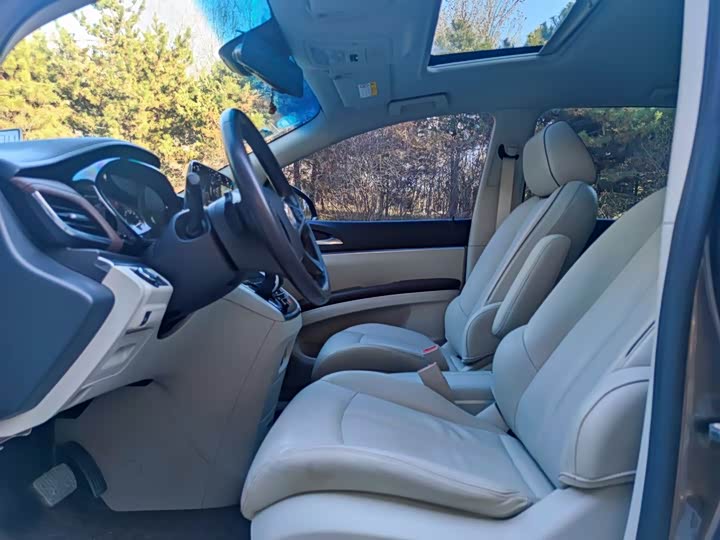 Buick GL8 ES 2020 2020款 陆上公务舱 652T 豪华型