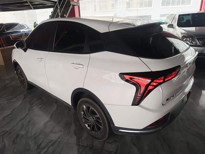 Hozon V 2022 2022款 潮 300 Lite 磷酸铁锂