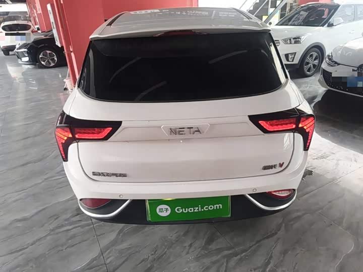Hozon V 2022 2022款 潮 300 Lite 磷酸铁锂