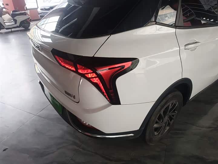 Hozon V 2022 2022款 潮 300 Lite 磷酸铁锂