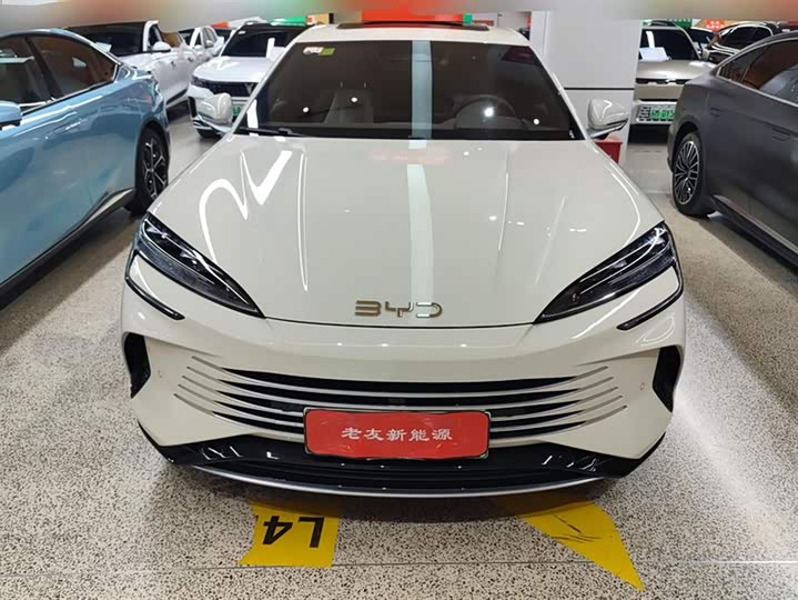 BYD Seal 07 DM-i Hybrid 2025 2025款 DM-i 1.5L 125km 尊贵型