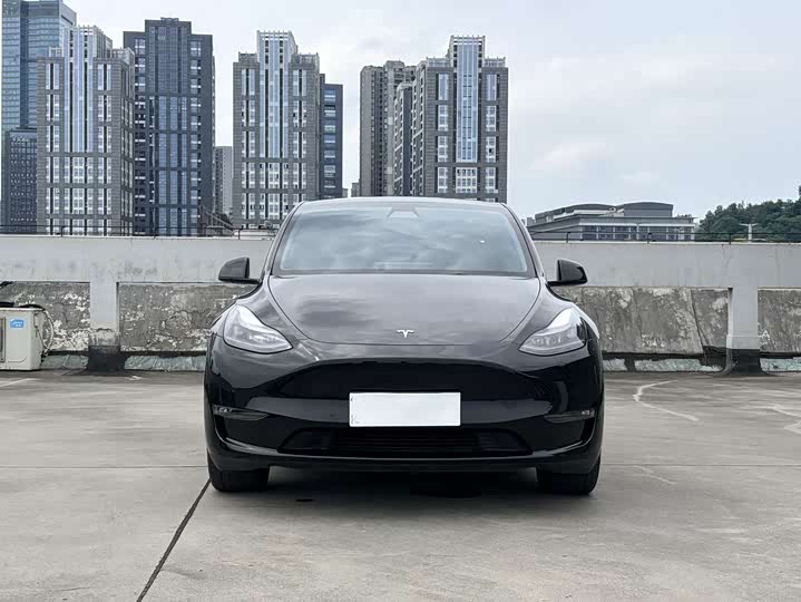 Tesla Model Y 2022 2022款 长续航全轮驱动版
