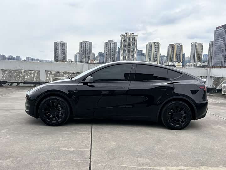 Tesla Model Y 2022 2022款 长续航全轮驱动版