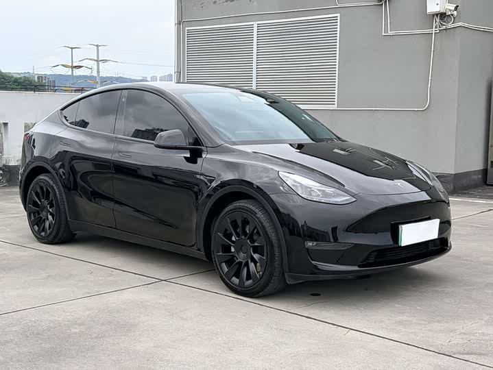 Tesla Model Y 2022 2022款 长续航全轮驱动版