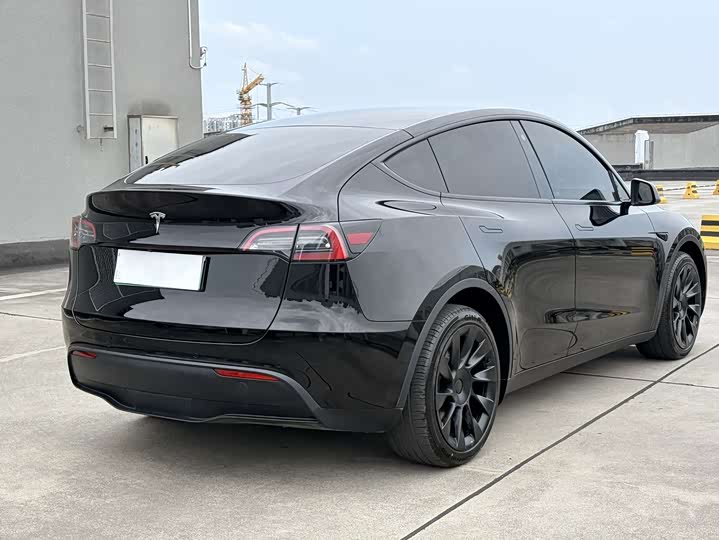 Tesla Model Y 2022 2022款 长续航全轮驱动版