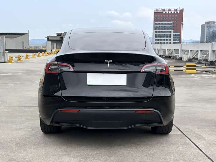 Tesla Model Y 2022 2022款 长续航全轮驱动版
