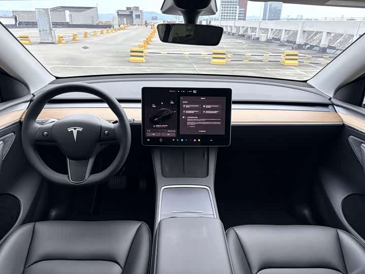 Tesla Model Y 2022 2022款 长续航全轮驱动版