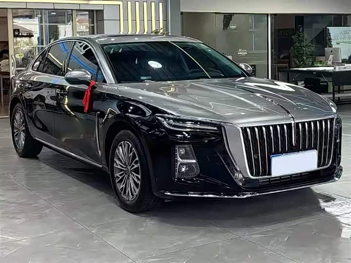 Zdjęcie 3 - Hongqi H5