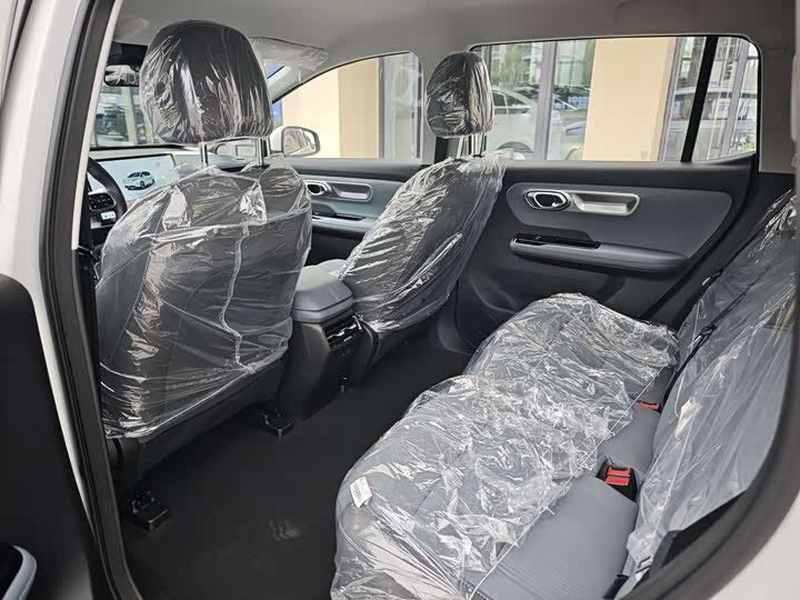 GAC Aion Y 2025 2025款 Plus 510 智享版