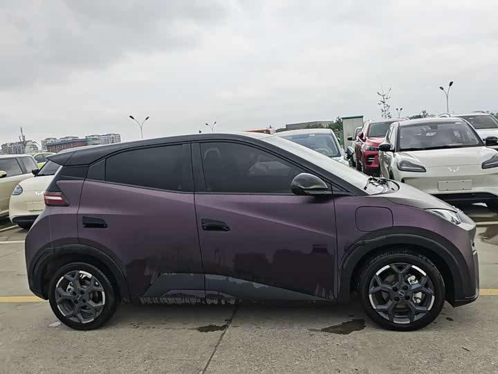 Photo 4 - BYD Seagull
