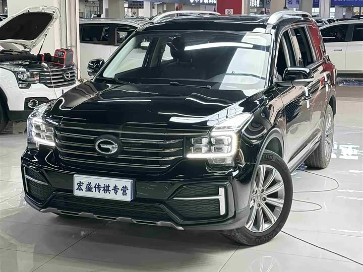 GAC Trumpchi GS8 2020 2020款 390T 两驱豪华智联纪念版（七座）