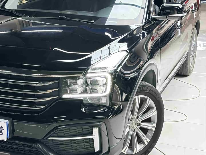 GAC Trumpchi GS8 2020 2020款 390T 两驱豪华智联纪念版（七座）