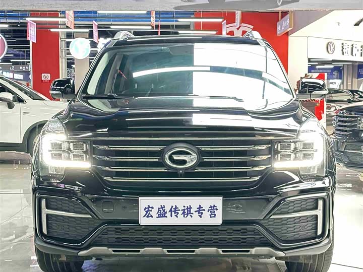 GAC Trumpchi GS8 2020 2020款 390T 两驱豪华智联纪念版（七座）