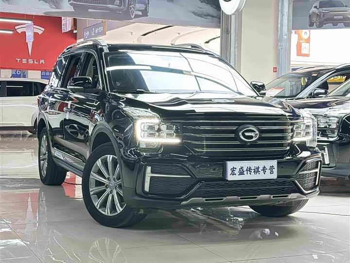 GAC Trumpchi GS8 2020 2020款 390T 两驱豪华智联纪念版（七座）